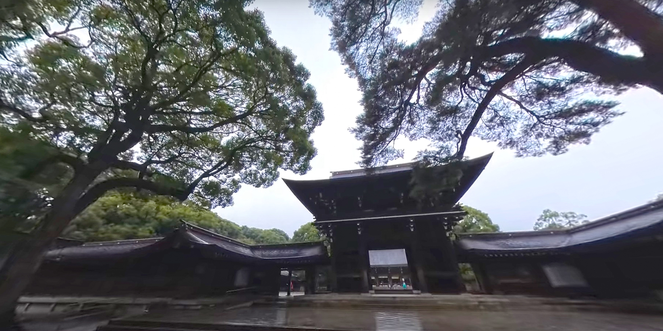 【2022日本東京】明治神宮360體驗